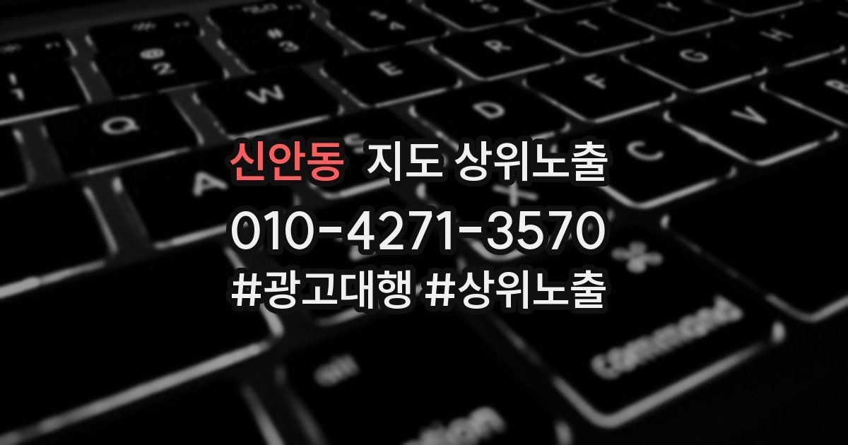 신안동 지도 상위 노출