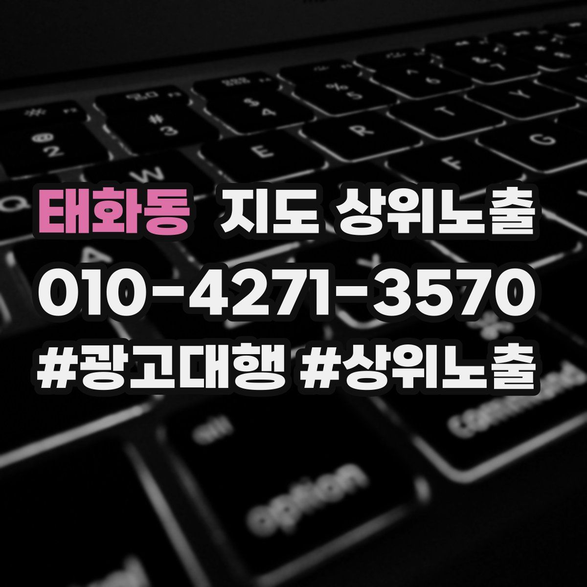 태화동 지도 상위 노출