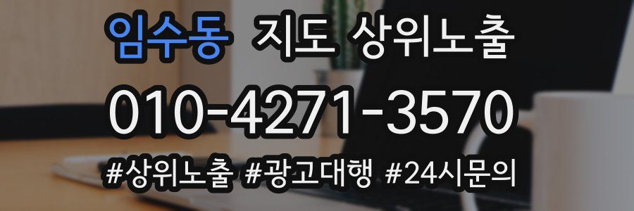 임수동 지도 상위 노출