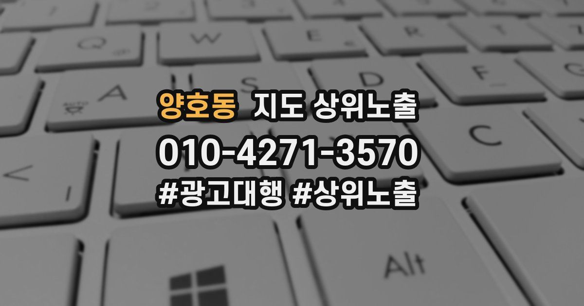양호동 지도 상위 노출