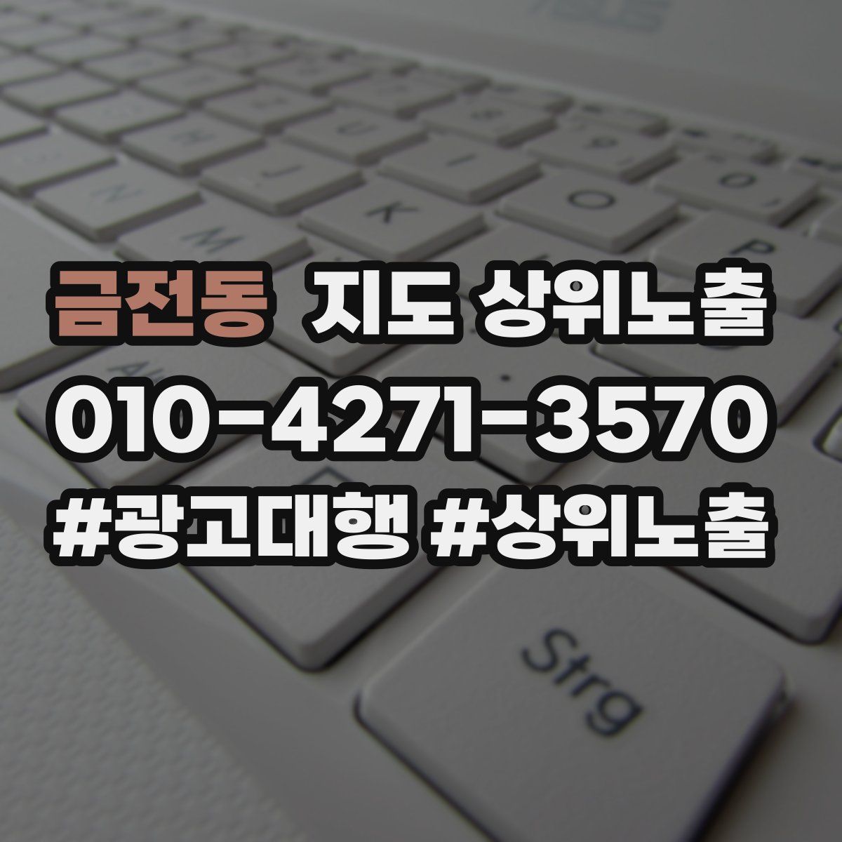금전동 지도 상위 노출