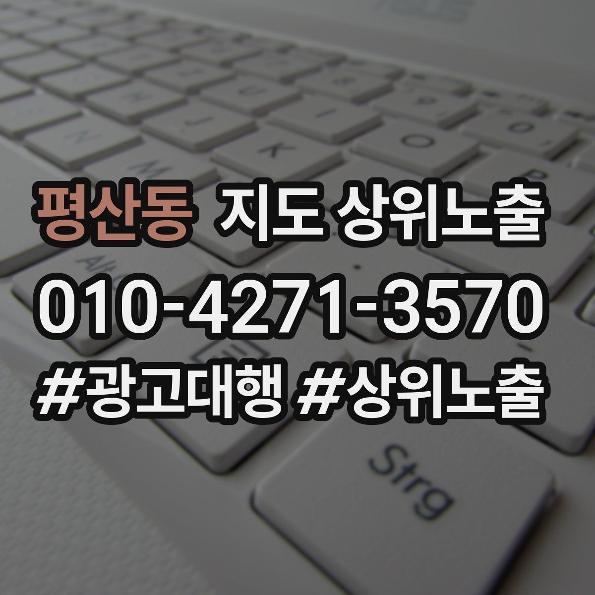 평산동 지도 상위 노출