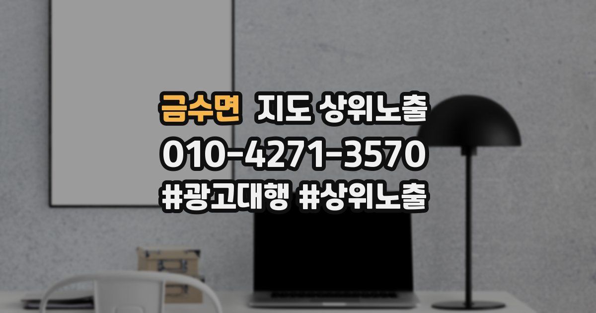 금수면 지도 상위 노출