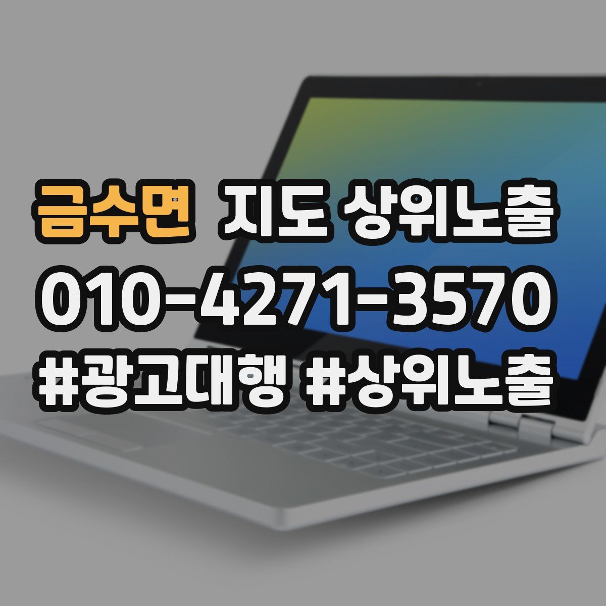 금수면 지도 상위 노출
