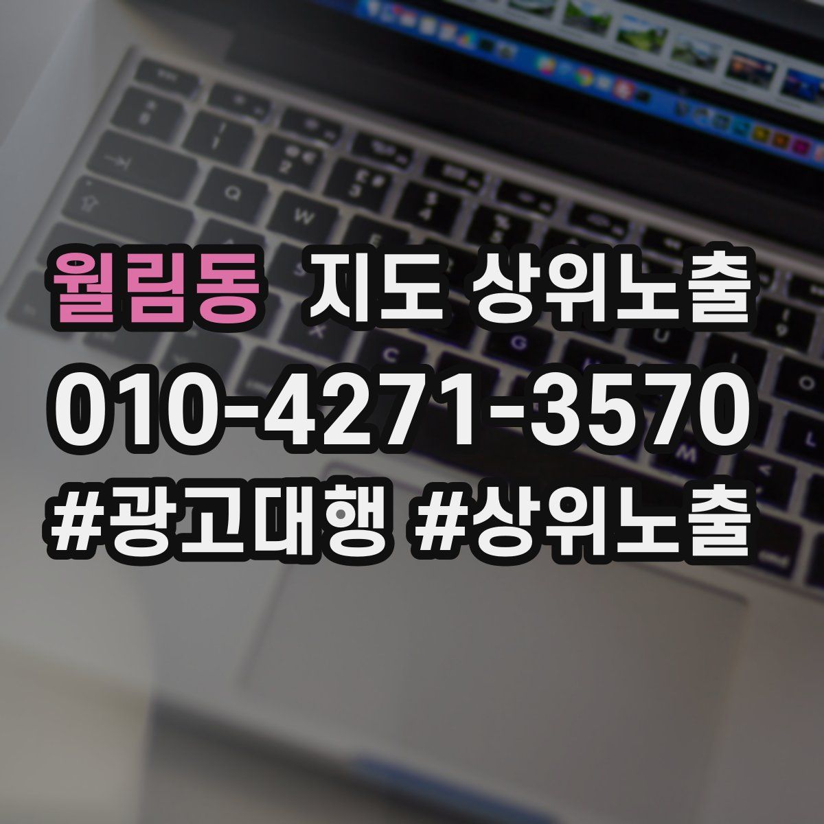 월림동 지도 상위 노출