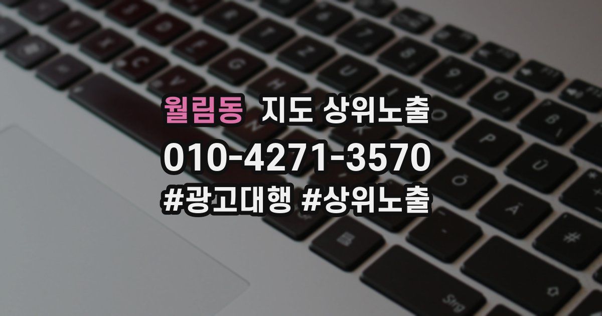 월림동 지도 상위 노출