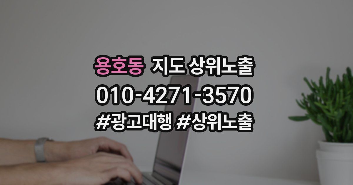 용호동 지도 상위 노출