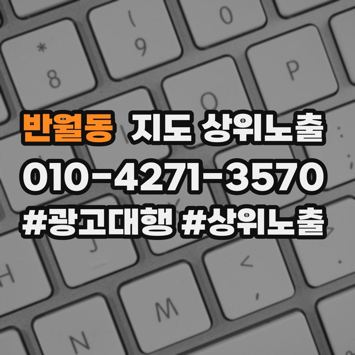 반월동 지도 상위 노출