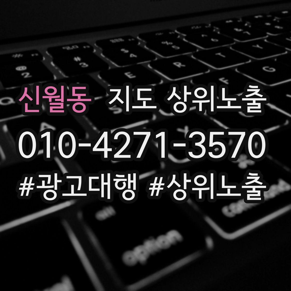신월동 지도 상위 노출