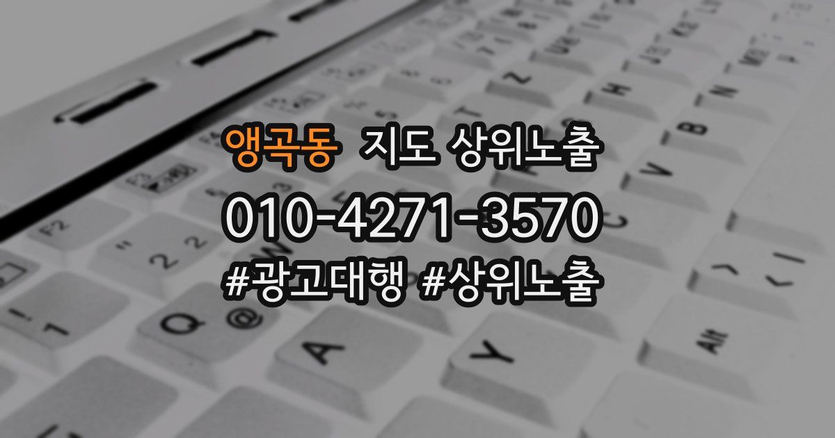 앵곡동 지도 상위 노출