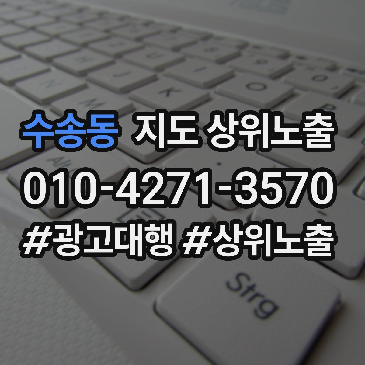 수송동 지도 상위 노출