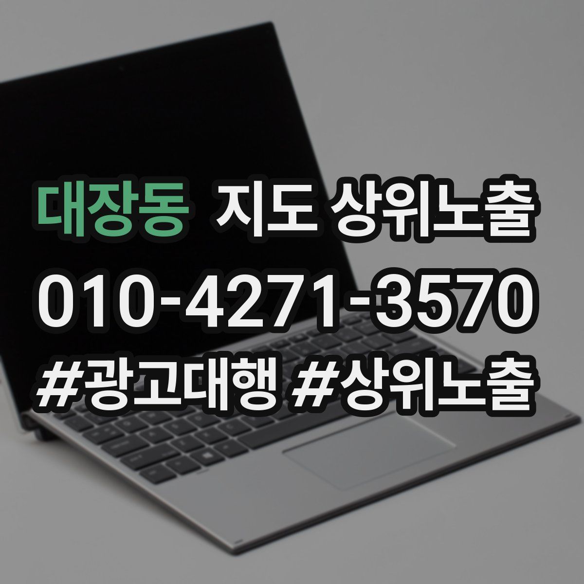 대장동 지도 상위 노출