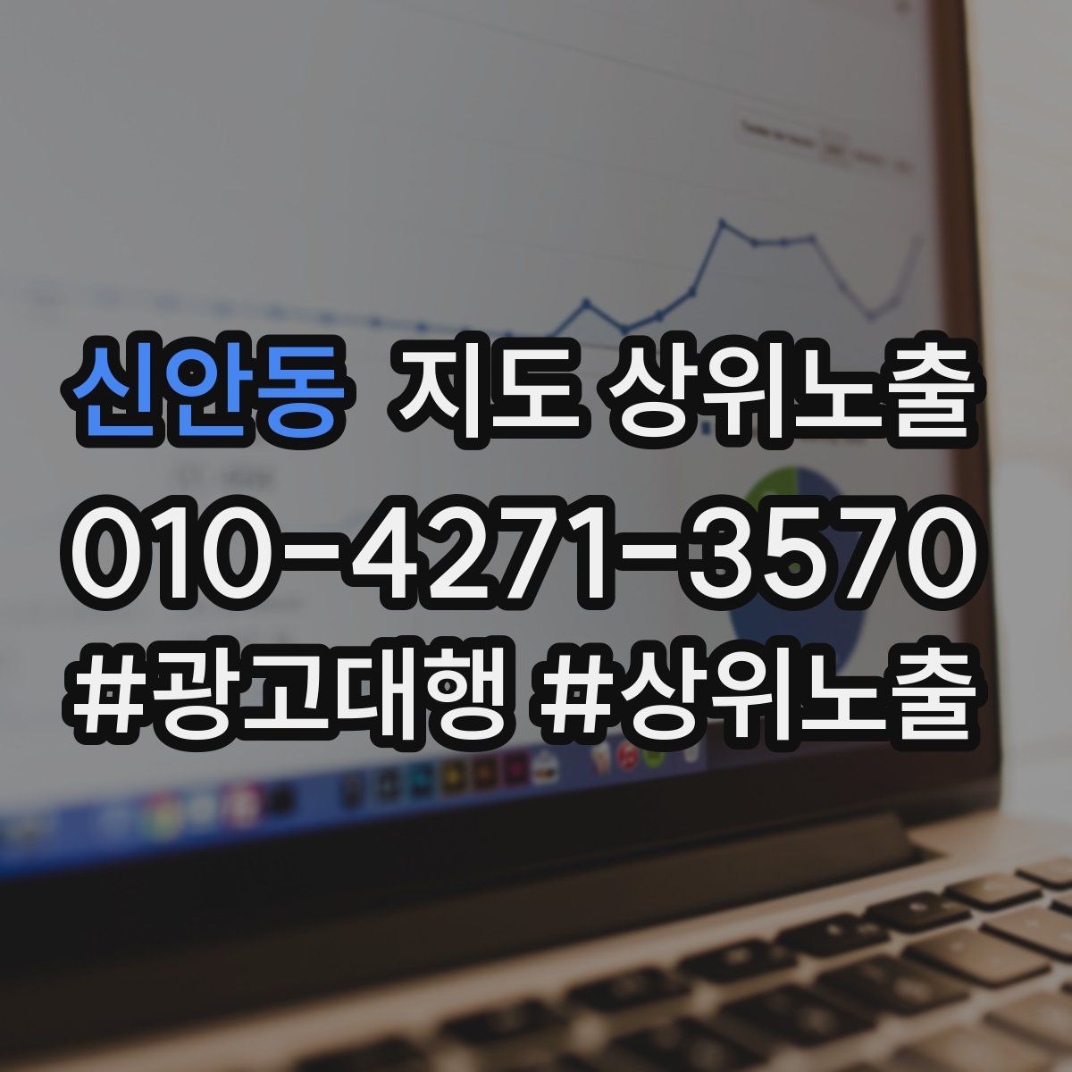 신안동 지도 상위 노출