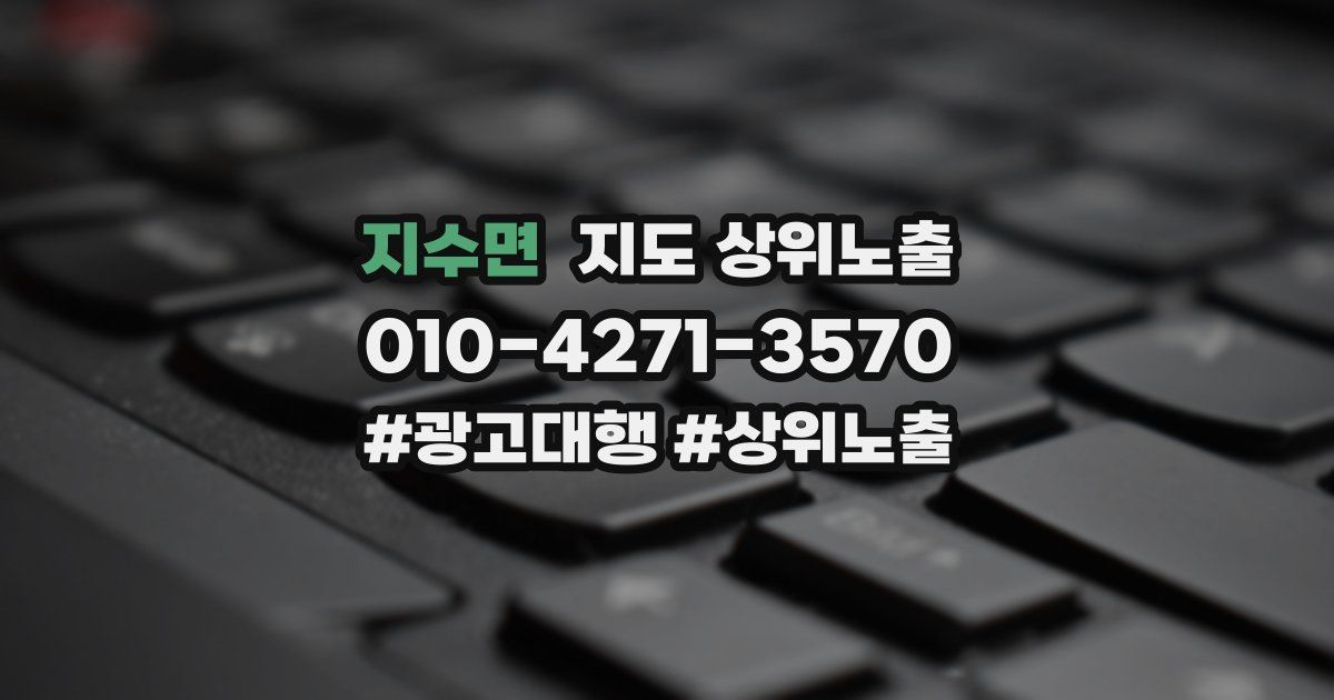 지수면 지도 상위 노출