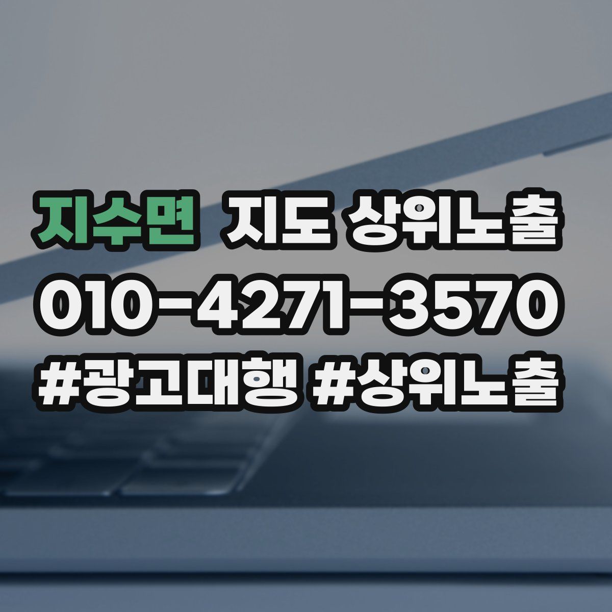 지수면 지도 상위 노출