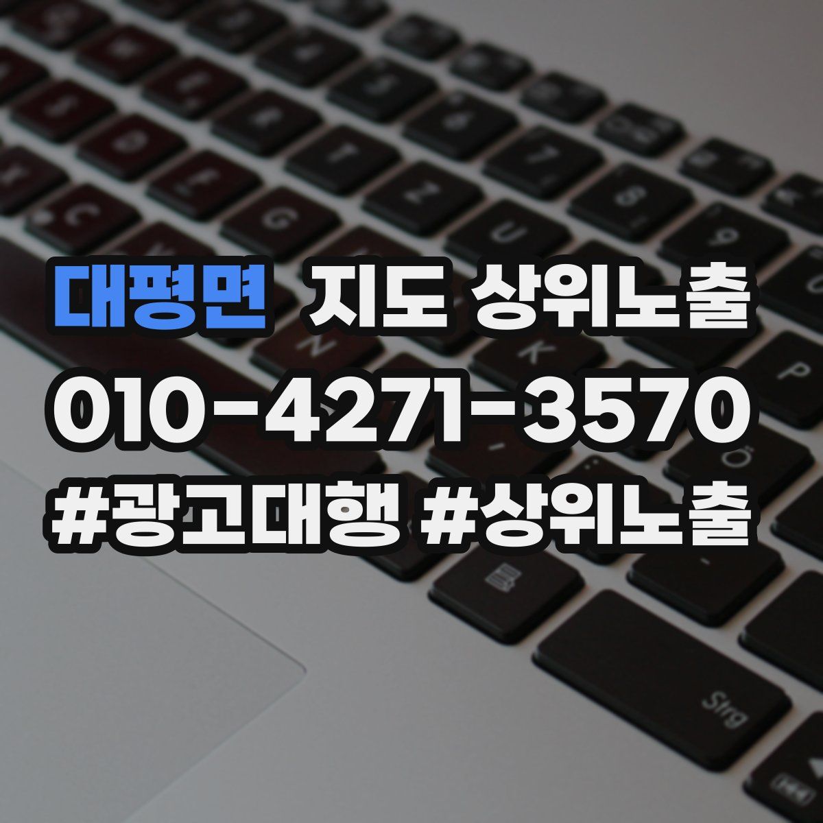 대평면 지도 상위 노출