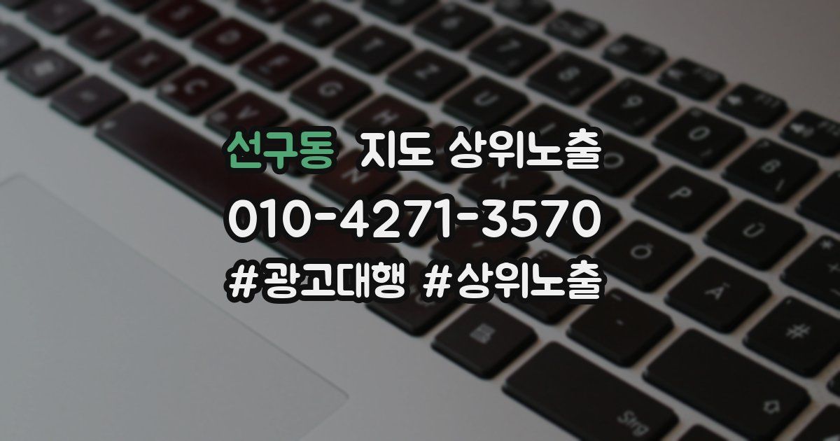 선구동 지도 상위 노출