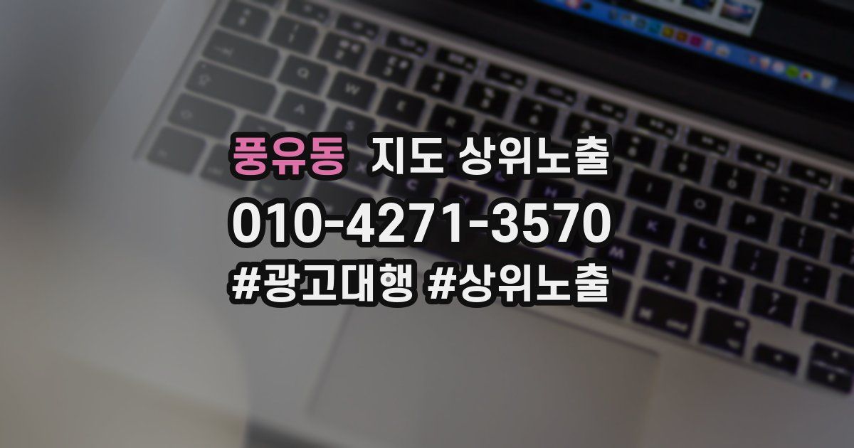풍유동 지도 상위 노출