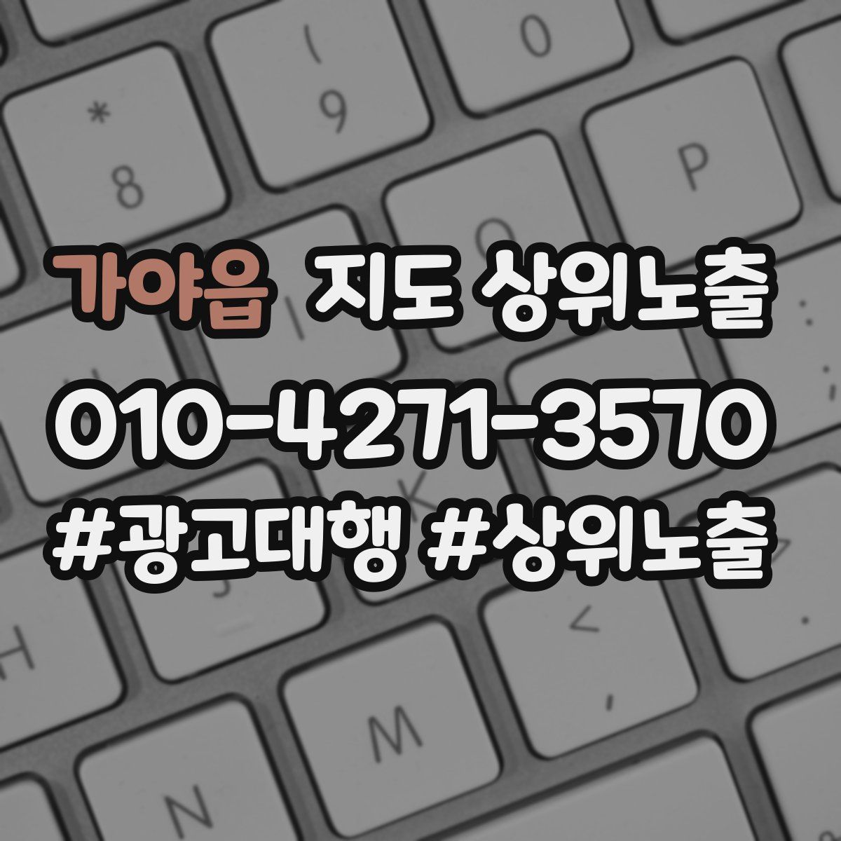 가야읍 지도 상위 노출