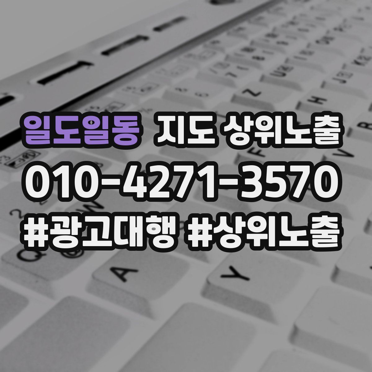 일도일동 지도 상위 노출