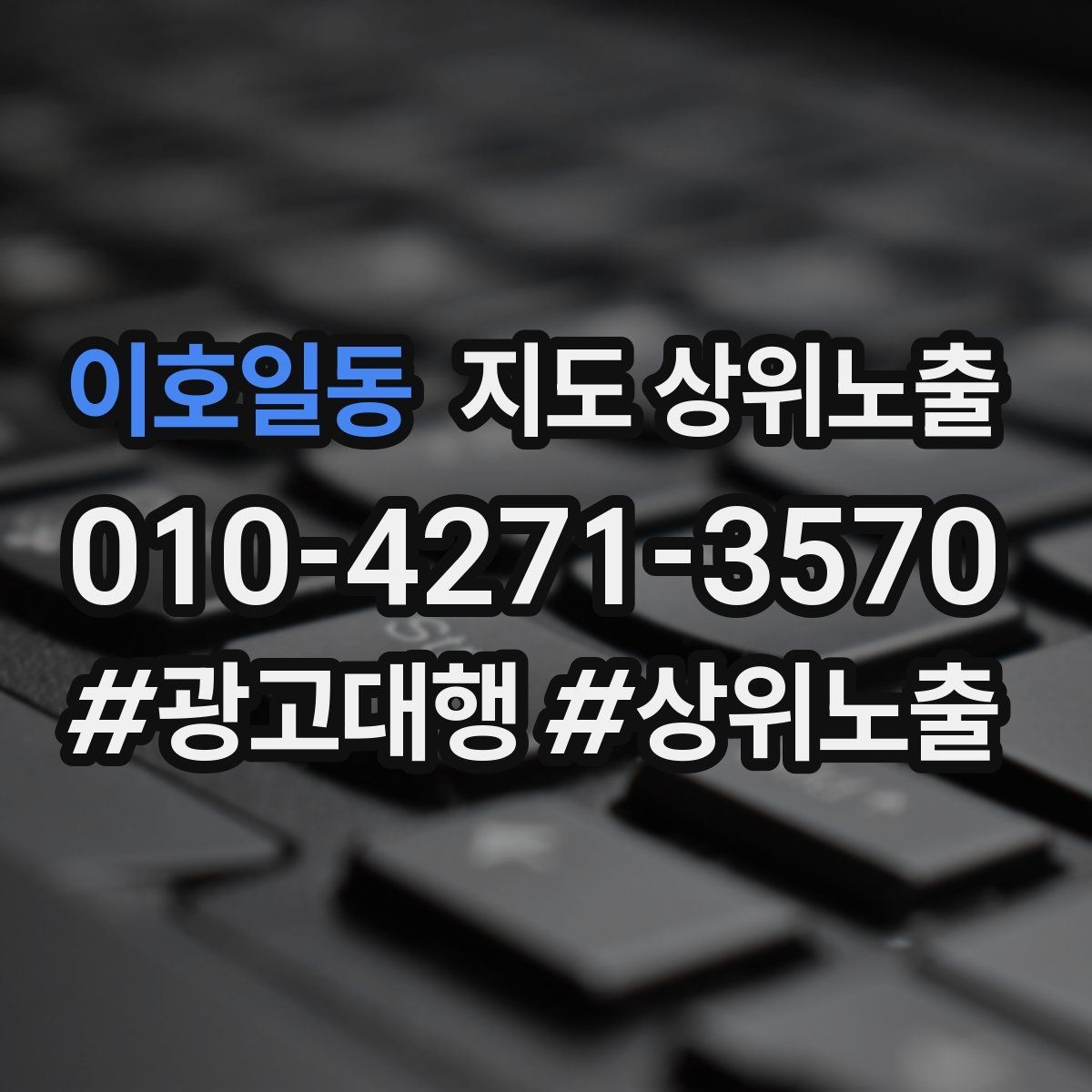 이호일동 지도 상위노출 긴급 수요 업종의 프로필 구성 포인트