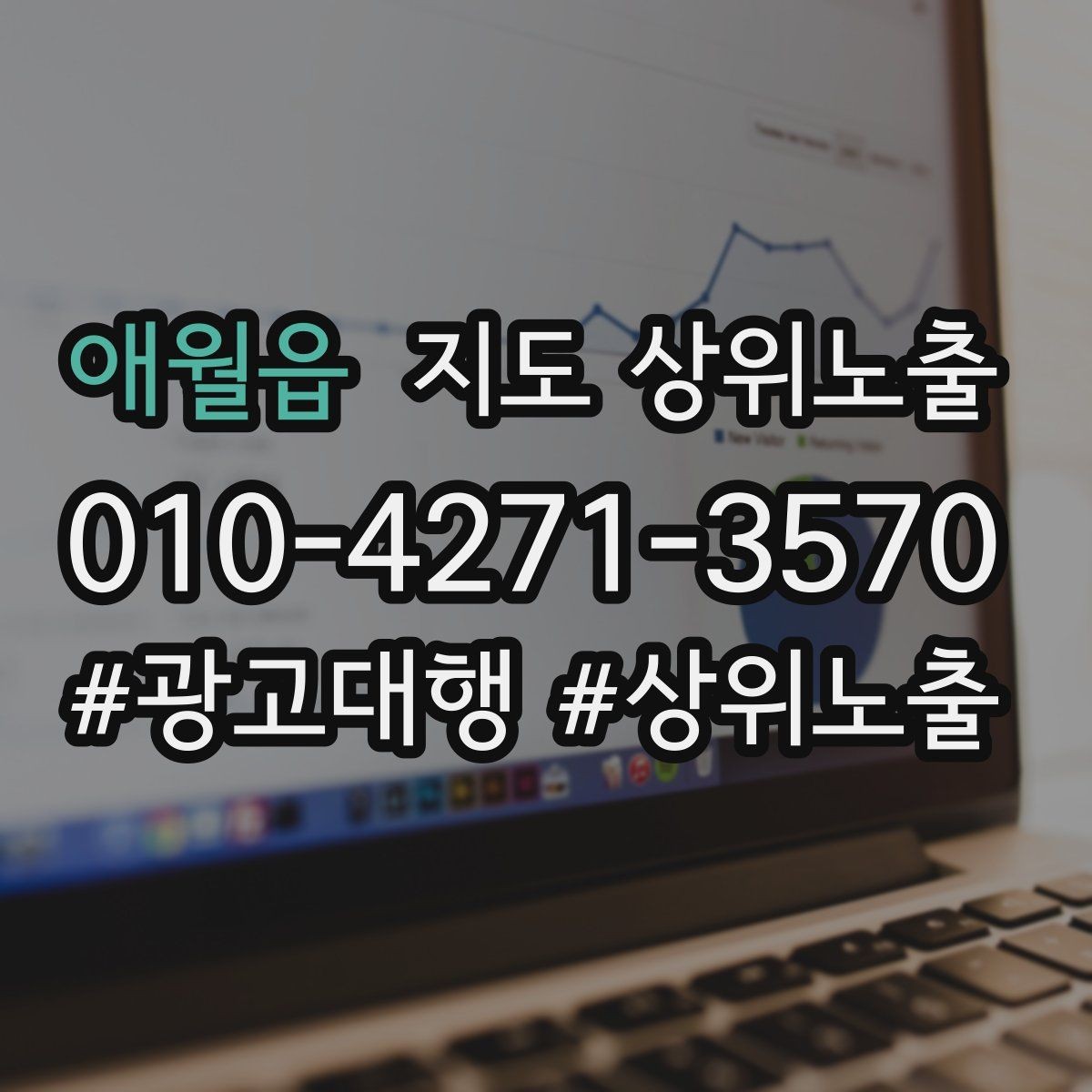 애월읍 지도 상위노출 예약형 업종의 필수 정보 5가지