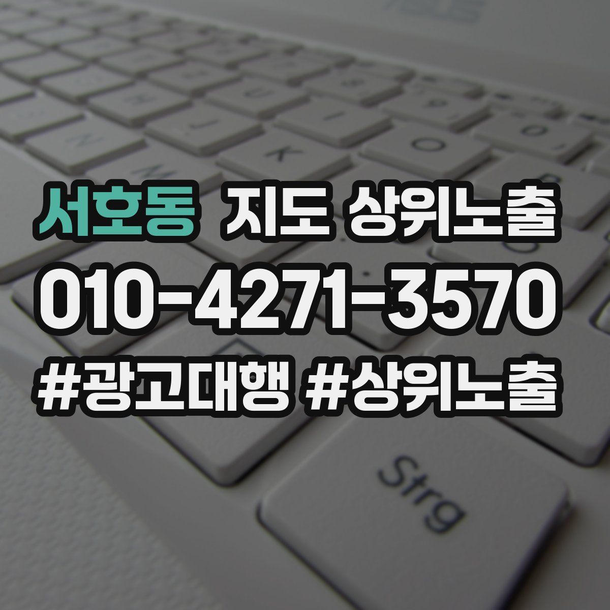 서호동 지도 상위 노출