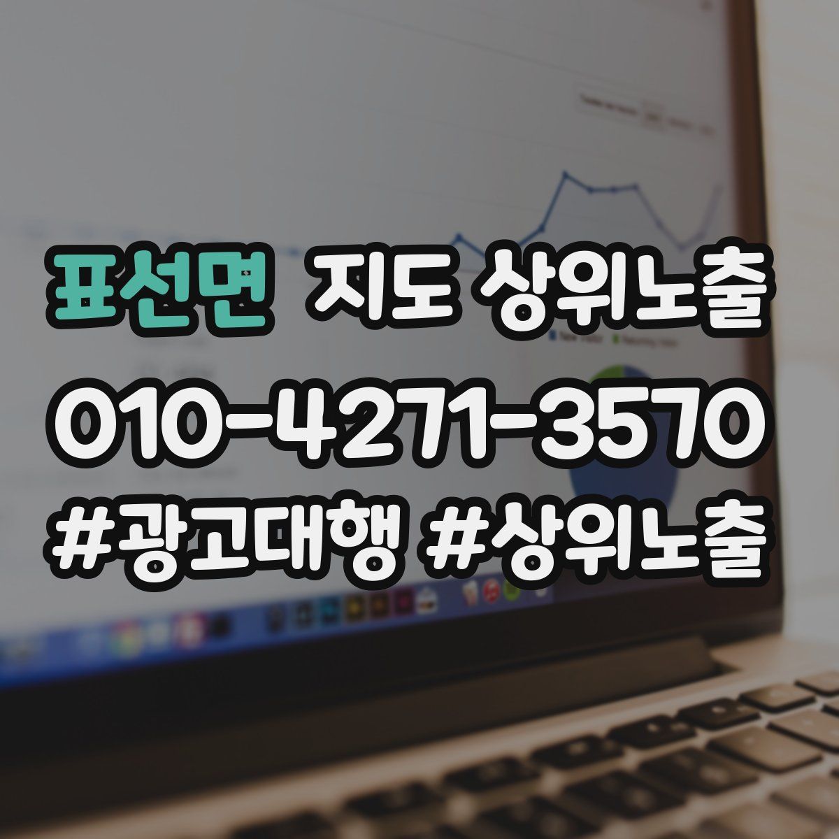 표선면 지도 상위 노출