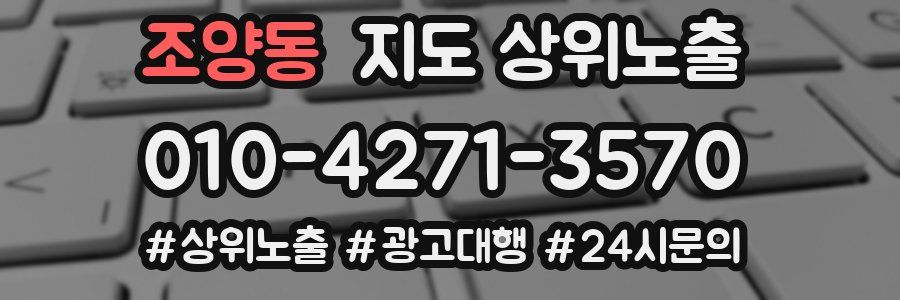 조양동 지도 상위 노출