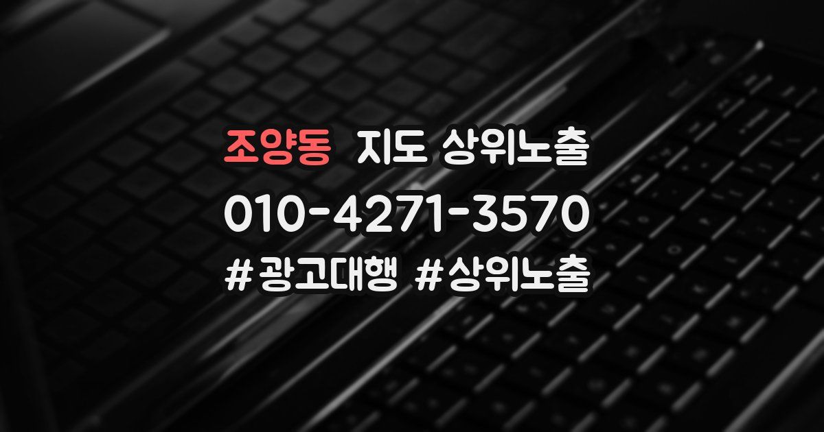조양동 지도 상위 노출