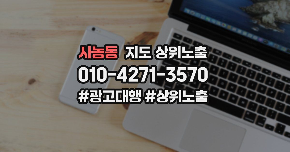 사농동 지도 상위 노출