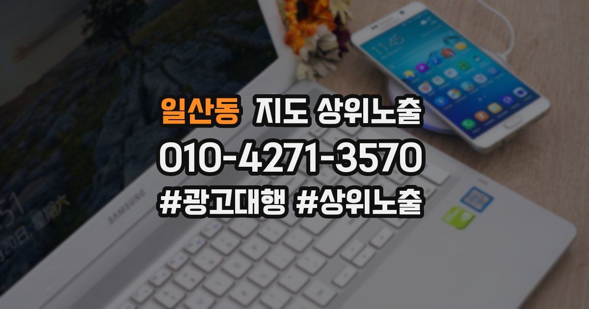 일산동 지도 상위 노출