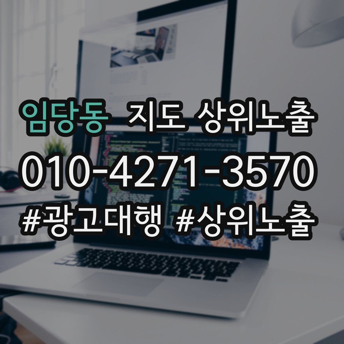 임당동 지도 상위노출 연락처 세팅 실수로 문의가 줄어드는 사례