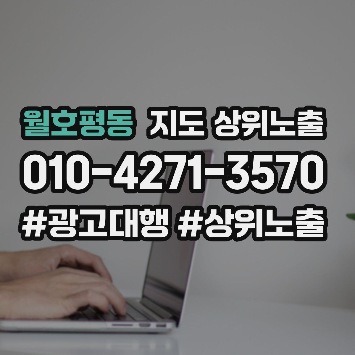 월호평동 지도 상위노출 확인해야 할 핵심 기준