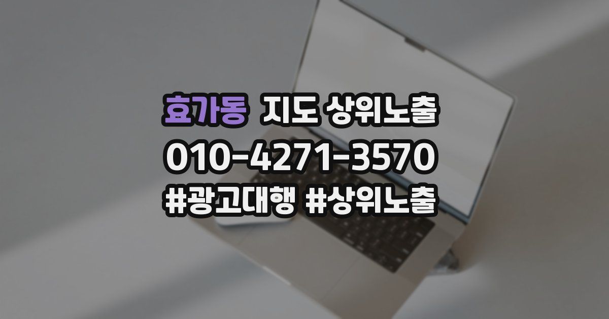 효가동 지도 상위 노출