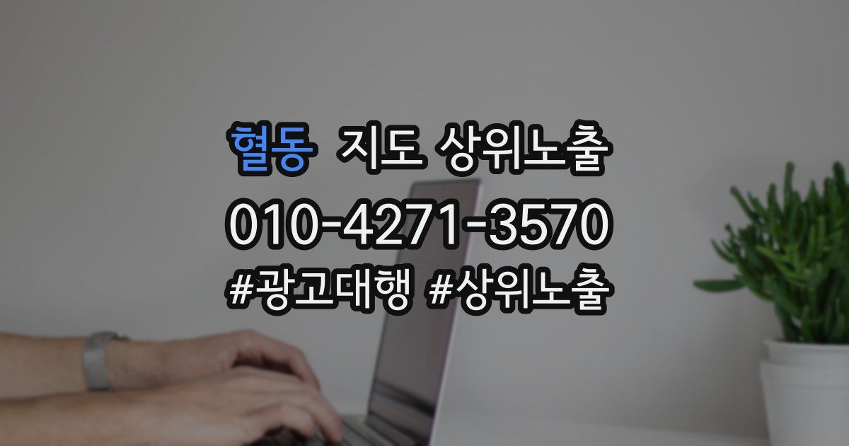 혈동 지도 상위 노출