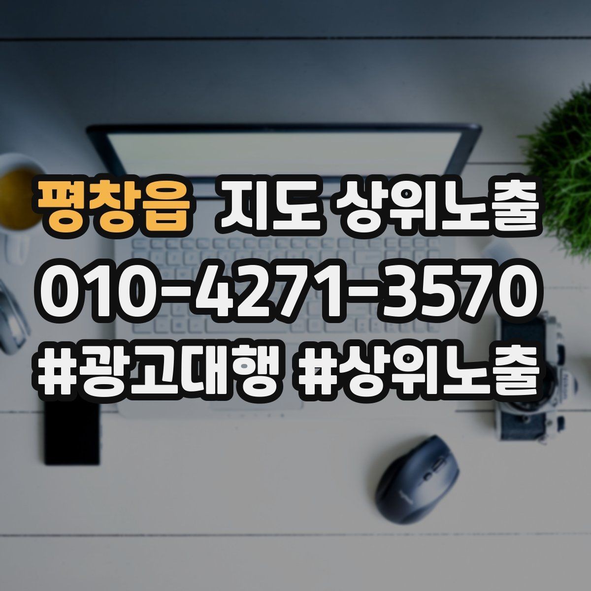 평창읍 지도 상위노출 인증 허가 정보가 필요한 업종 정리
