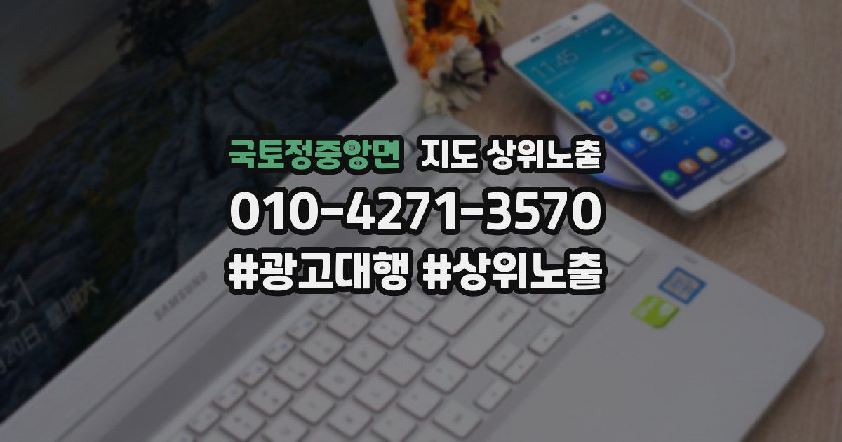 국토정중앙면 지도 상위 노출