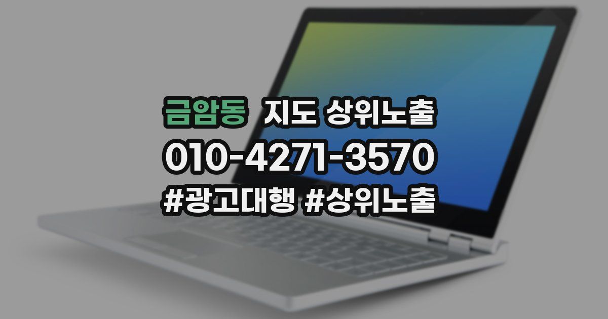 금암동 지도 상위 노출