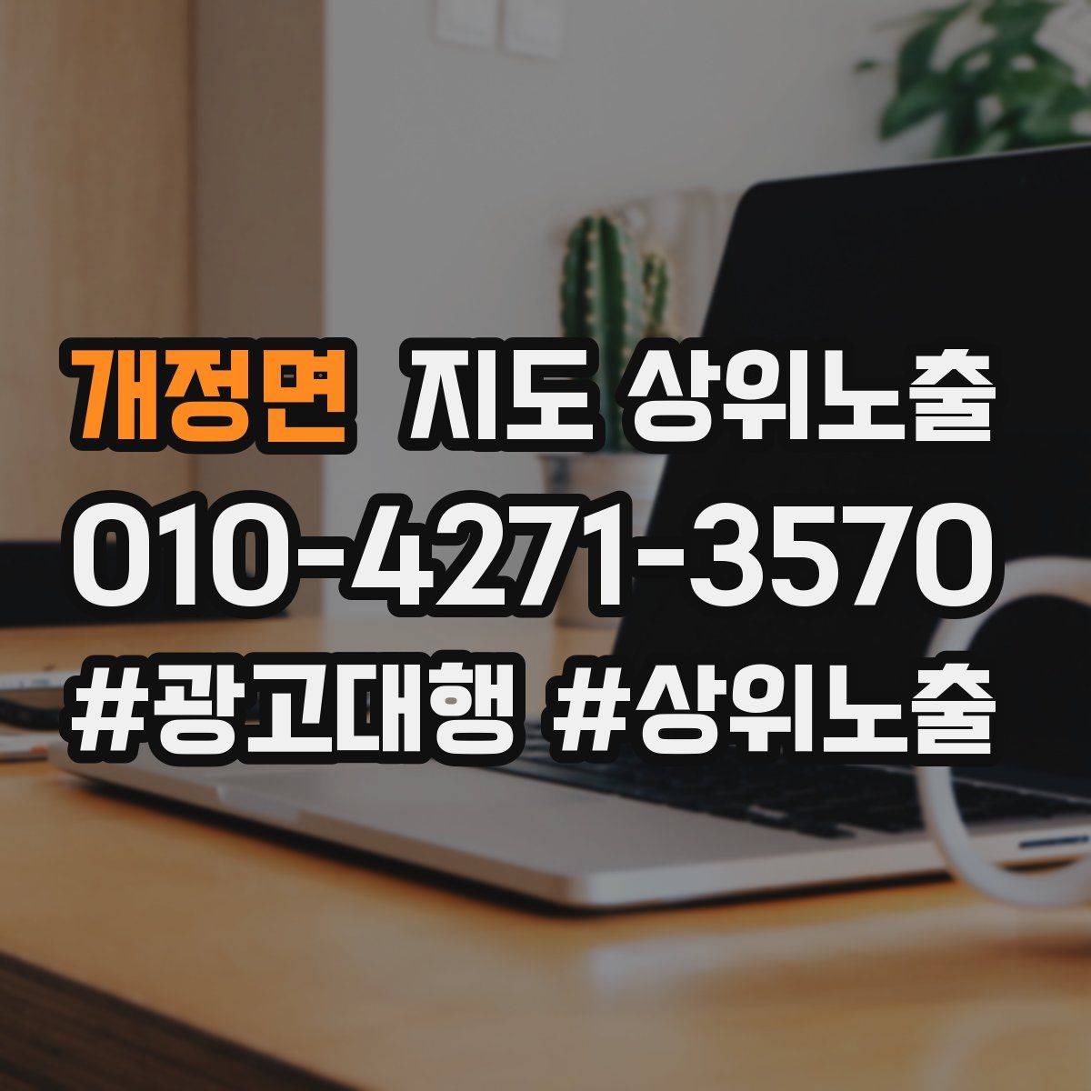개정면 지도 상위 노출