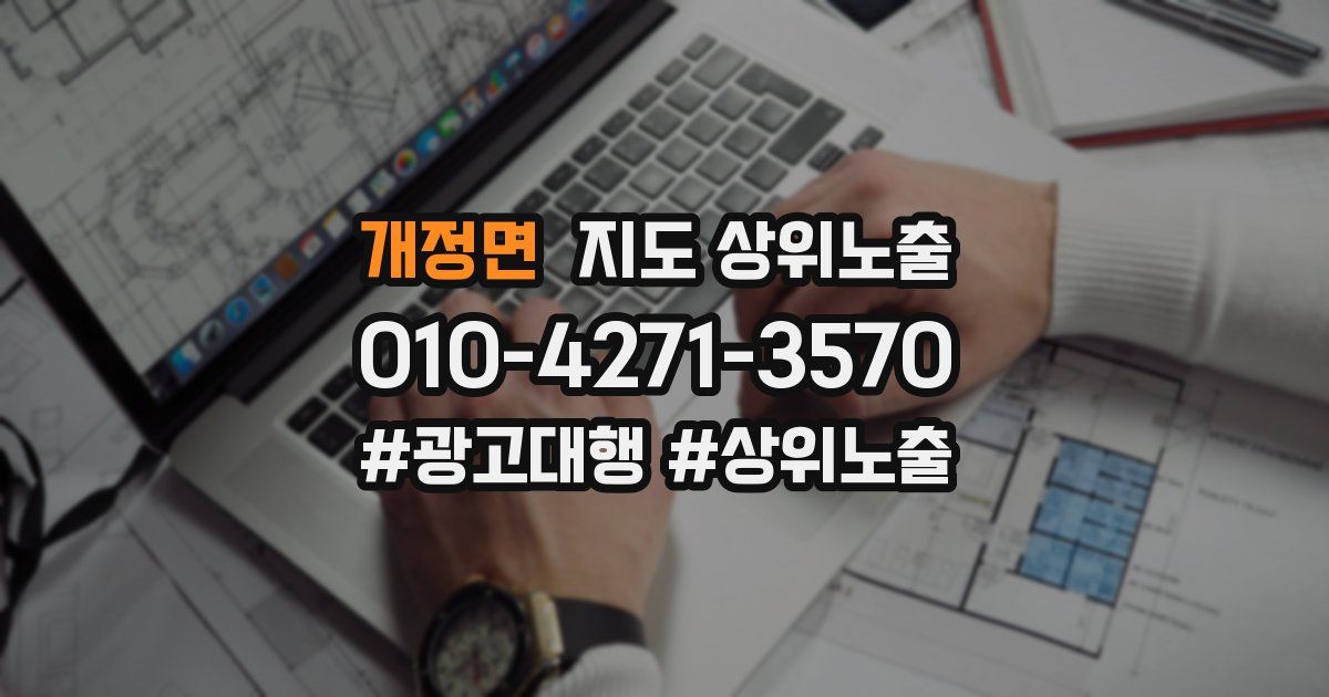 개정면 지도 상위 노출