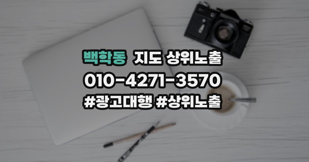 백학동 지도 상위 노출