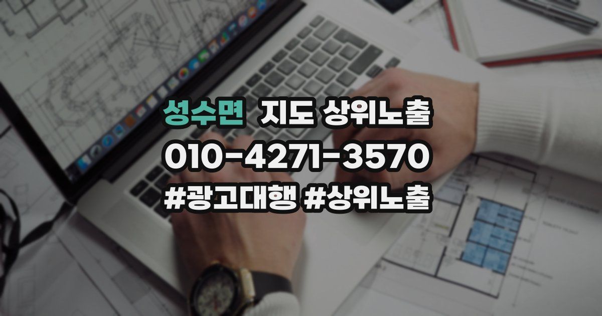 성수면 지도 상위 노출