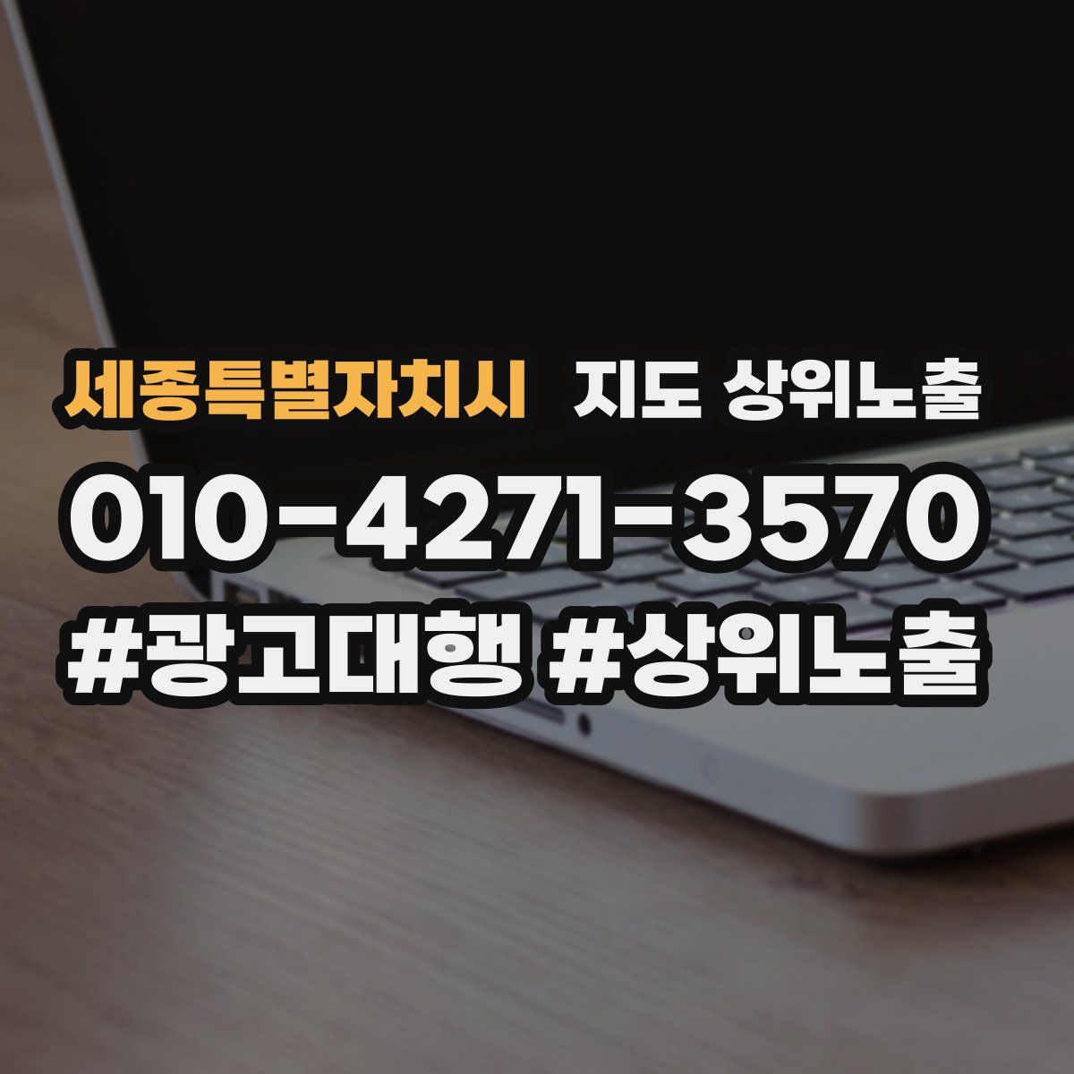 세종특별자치시 지도 상위 노출