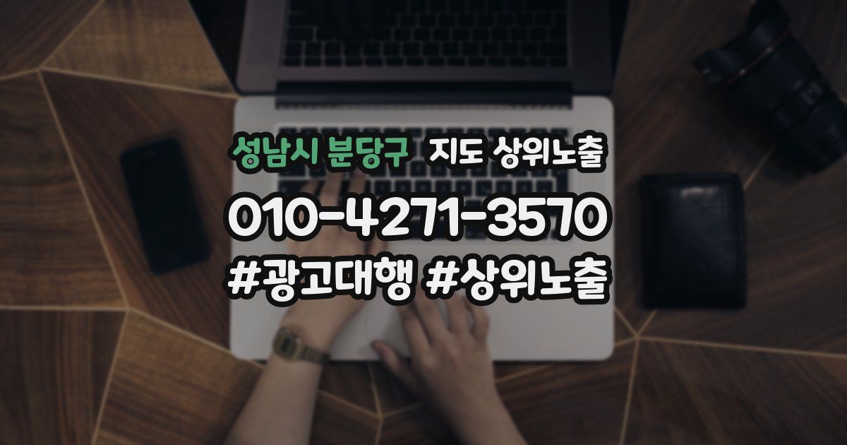 성남시 분당구 지도 상위 노출