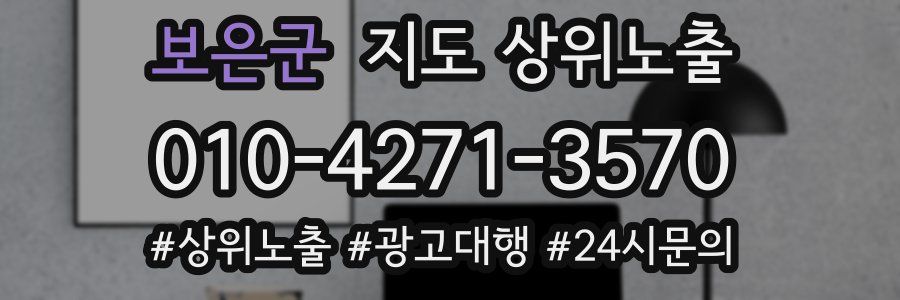 보은군 지도 상위 노출