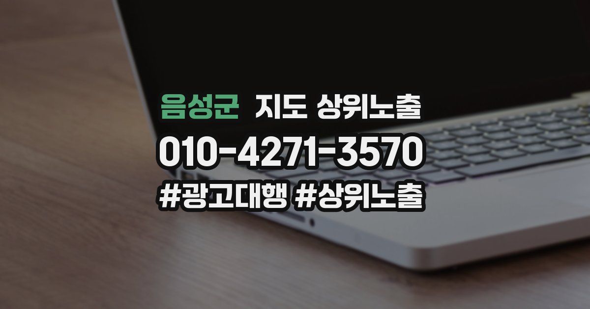 음성군 지도 상위 노출