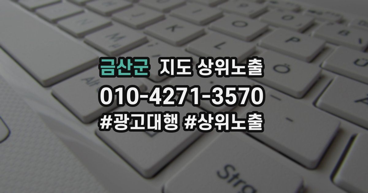 금산군 지도 상위 노출