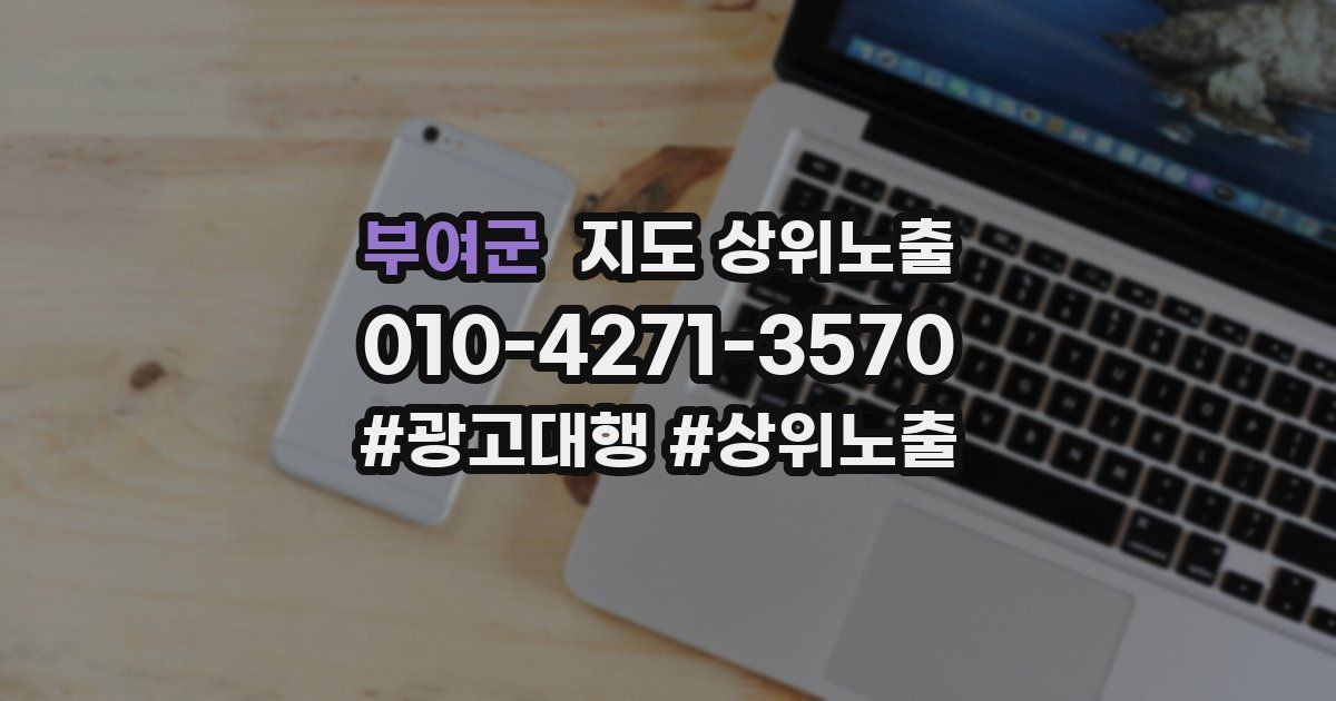 부여군 지도 상위 노출
