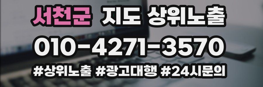 서천군 지도 상위 노출